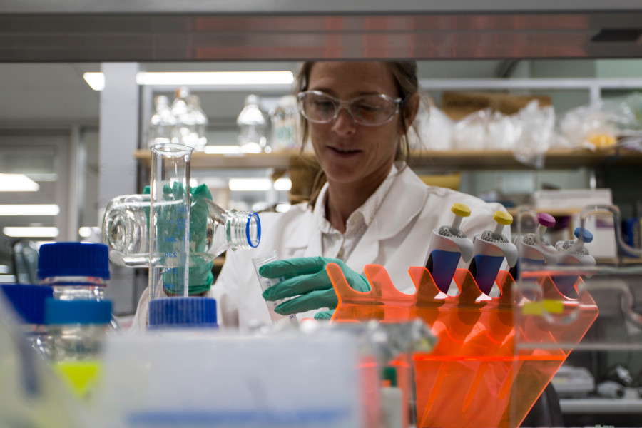 Scientist filling beaker with liquid Scientist filling beaker with liquid