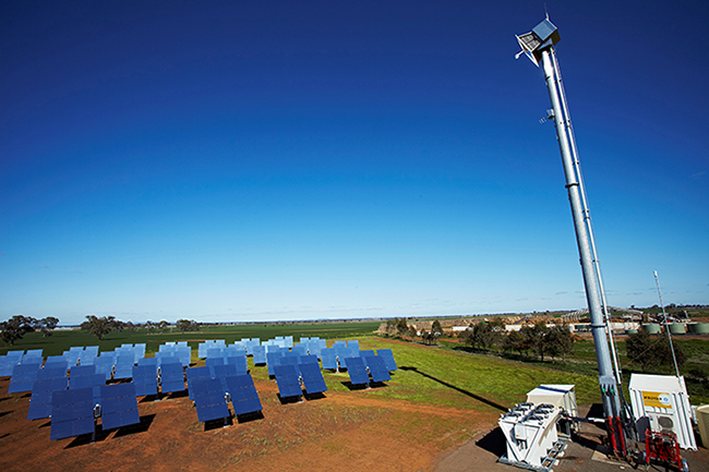 Solar panels in a field Solar panels in a field